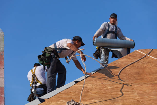 Best Roof Gutter Cleaning  in Palm Shores, FL
